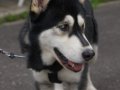 DSC_0047.jpg